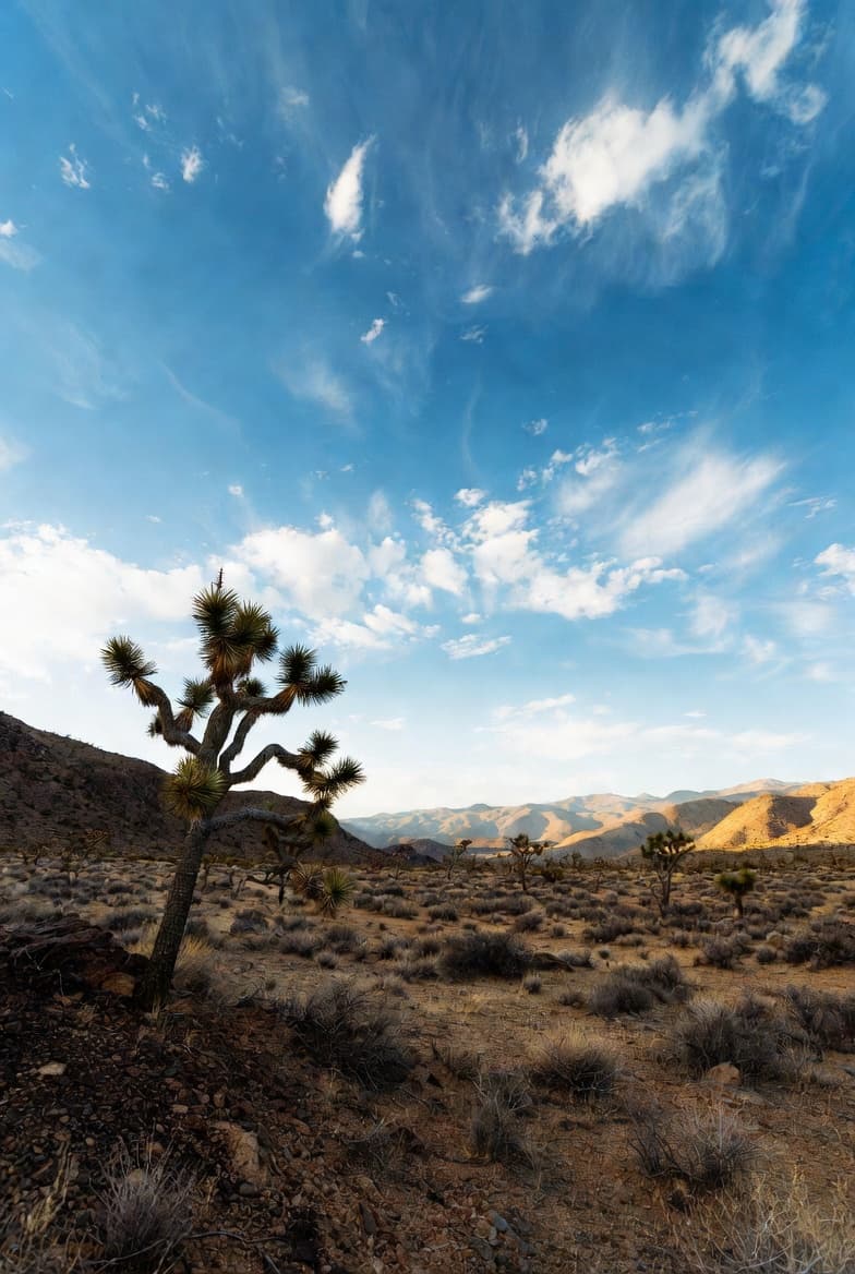 Mojave Desert road to Grand Canyon West from Las Vegas